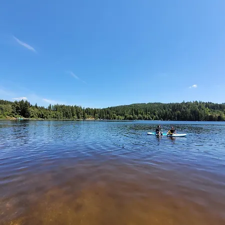 Haus Panoramablick - Alpensicht, 4 Schlafzimmer, Höchenschwand