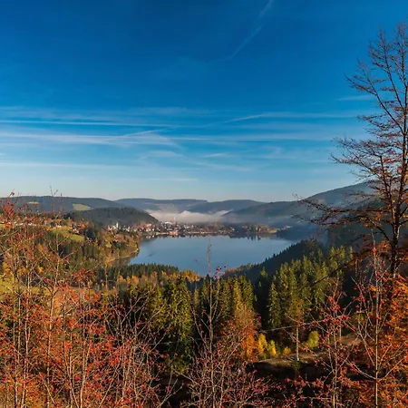 Apartman Haus Panoramablick - Alpensicht, 4 Schlafzimmer, Höchenschwand
