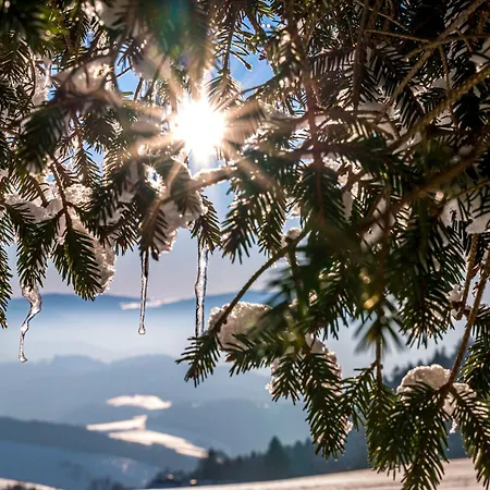 Haus Panoramablick - Alpensicht, 4 Schlafzimmer, *