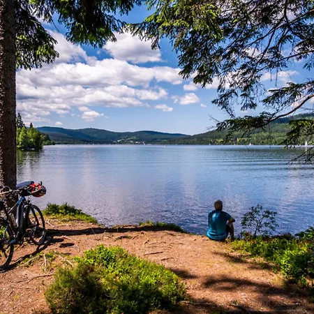 Apartman Haus Panoramablick - Alpensicht, 4 Schlafzimmer,