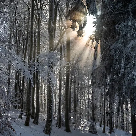 Haus Panoramablick - Alpensicht, 4 Schlafzimmer, *