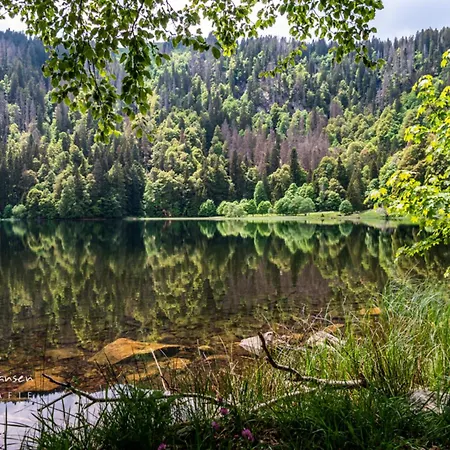 Apartman Haus Panoramablick - Alpensicht, 4 Schlafzimmer, *